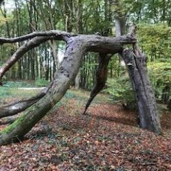 Gudegast-23.jpg